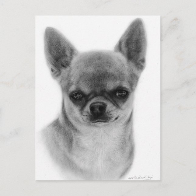 Postal Cute Chihuahua Head Study Hand Pintado (Anverso)