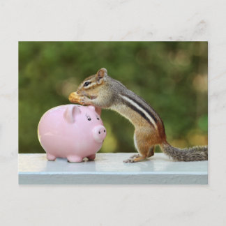 Postal Cute Chipmunk con divertida foto de un banco de di