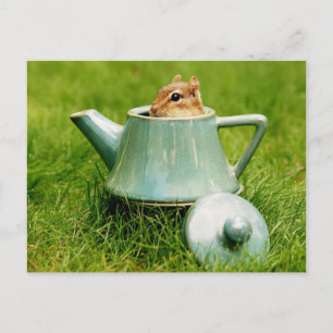 Postal Cute Chipmunk en Tetera