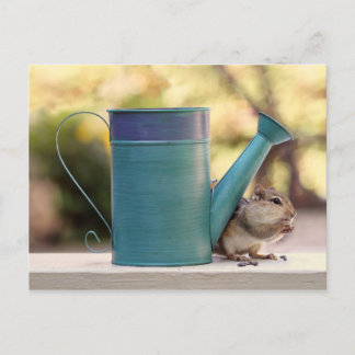 Postal Cute Chipmunk y riego pueden imaginarse