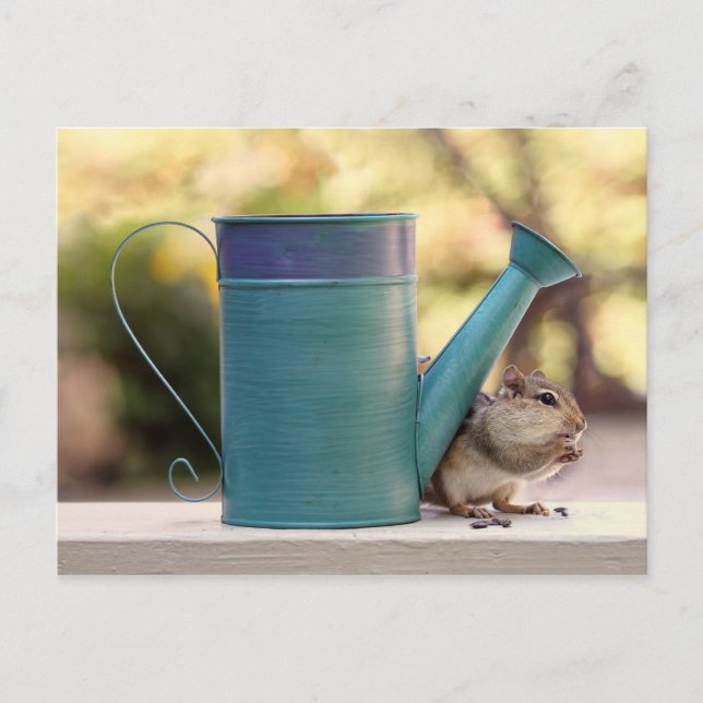 Postal Cute Chipmunk y riego pueden imaginarse (Anverso)
