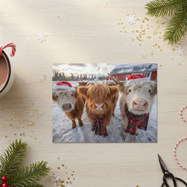 Postal Cute Christmas Highland Cows in Snow (Subido por el creador)