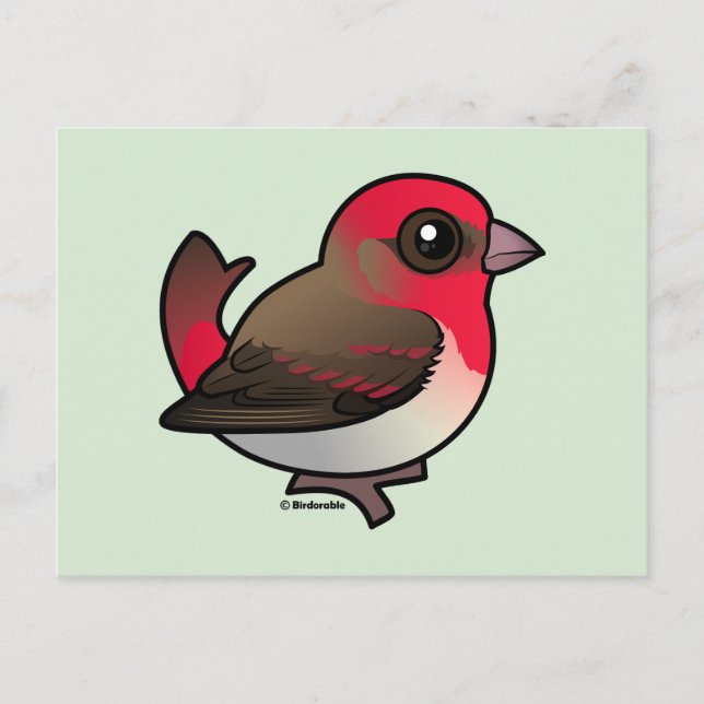 Postal Cute Common Rosefinch (Anverso)