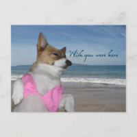 Cute Corgi Summer Vacation Ojalá Estuvieras Aquí