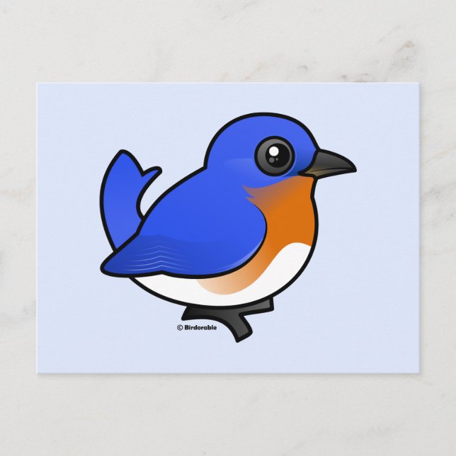 Postal Cute Eastern Bluebird (Anverso)