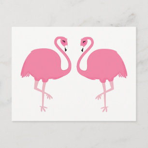 Postal Cute Flamingos