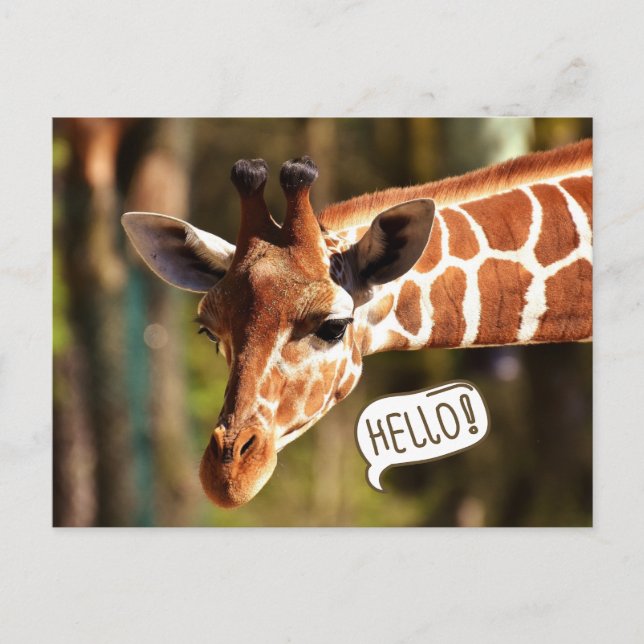 Postal Cute Giraffe Head Hello (Anverso)