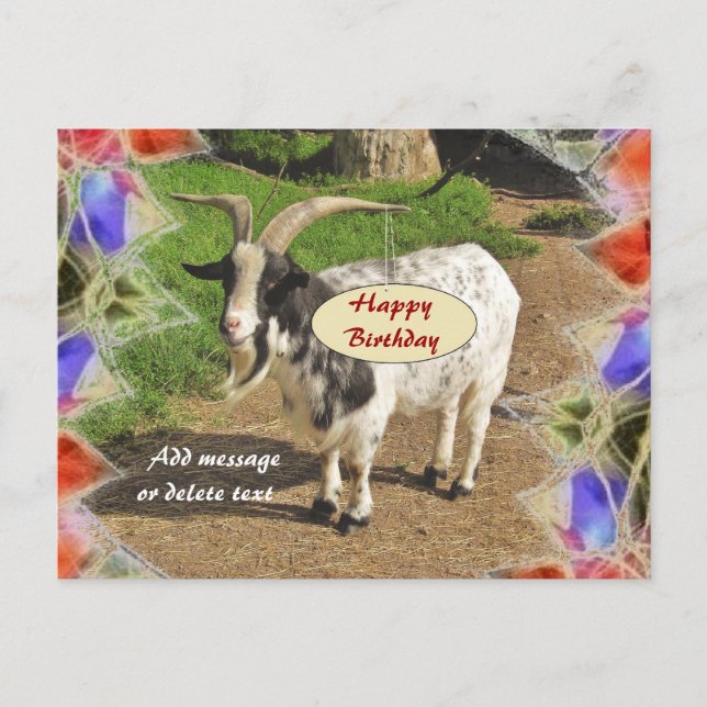 Postal Cute Goat Abstract Frame Happy Birday Postcard (Anverso)
