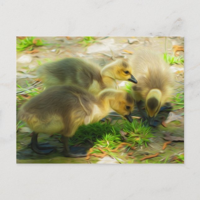 Postal Cute Gosling (Anverso)