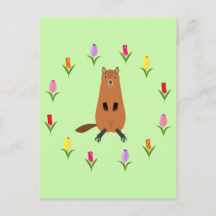 Postal Cute Groundhog y Tulip Flowers