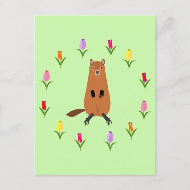 Postal Cute Groundhog y Tulip Flowers (Anverso)