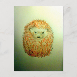 Postal Cute Hedgehog