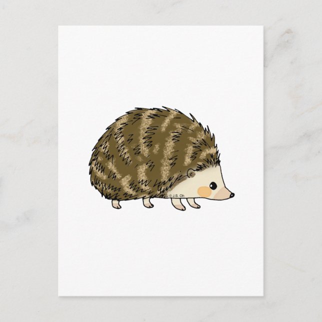 Postal Cute hedgehog (Anverso)