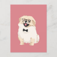 Cute Hipster Pekingese cachorro para los amantes d