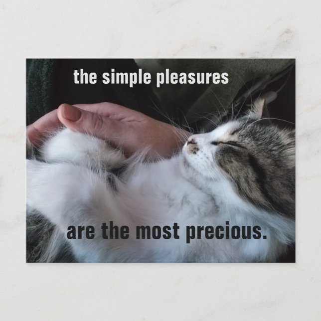 Postal Cute Kitten Cita Sencillo Personalizable De Placer (Anverso)
