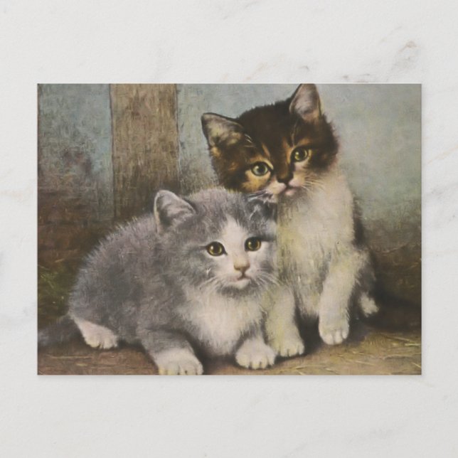 Postal Cute Kittens (Anverso)