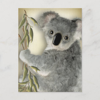 Postal Cute Koala