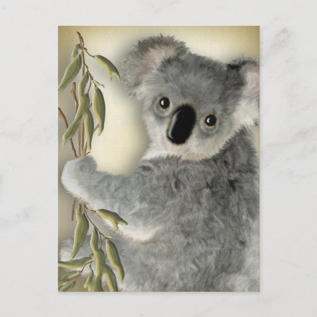 Postal Cute Koala (Anverso)