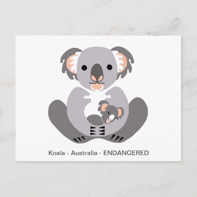 Postal Cute KOALA - Amante de los animales - Vida silvest (Anverso)