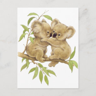 Postal Cute Koalas