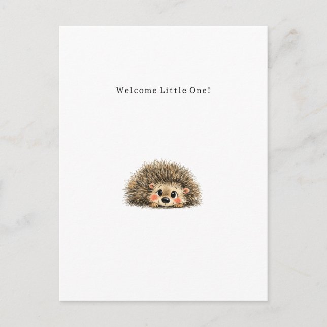 Postal Cute Little Hedgehog New Baby Card. (Anverso)