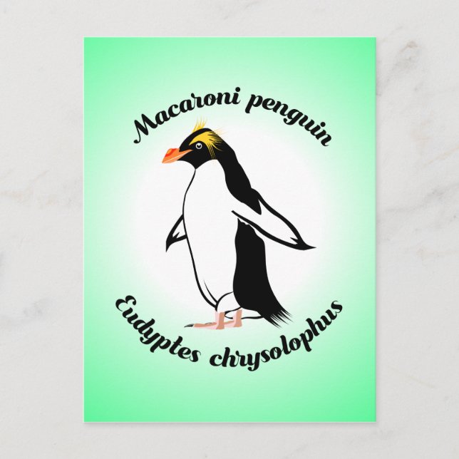 Postal Cute Macaroni Penguin (Anverso)