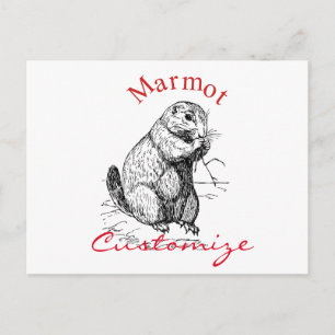 Postal Cute Marmot Animal Thunder_Cove