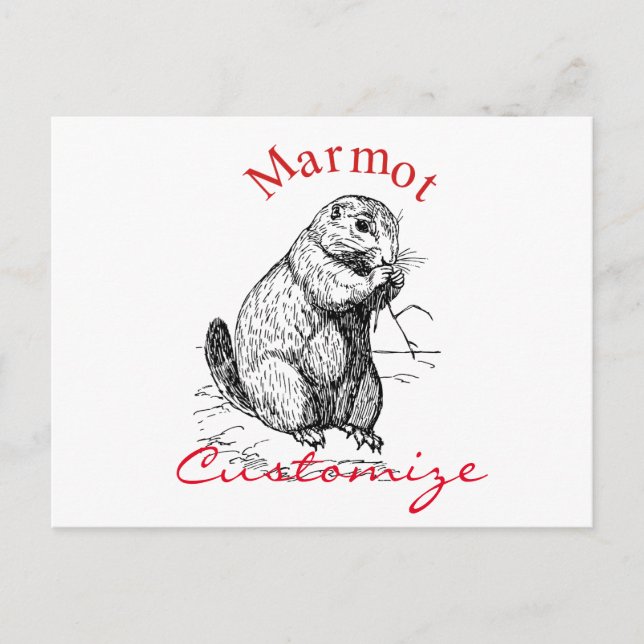 Postal Cute Marmot Animal Thunder_Cove (Anverso)