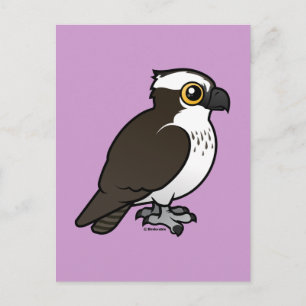 Postal Cute Osprey