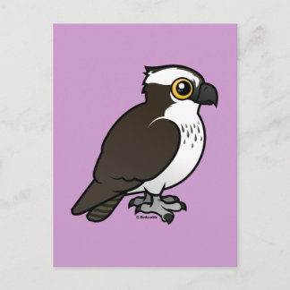 Postal Cute Osprey