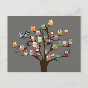 Postal Cute Owl On Tree   Background