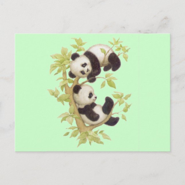 Postal Cute Pandas (Anverso)