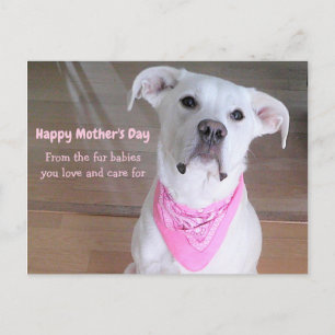 Postal Cute Perro Blanco con Bufanda Rosa Día de la Madre