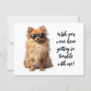 Postal Cute Perro Pomeraniano Desearía Que Estuvieras Aqu