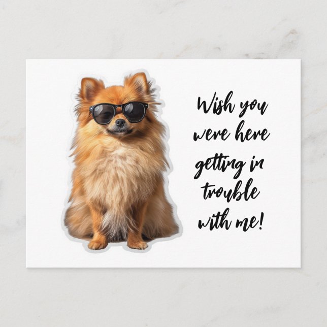 Postal Cute Perro Pomeraniano Desearía Que Estuvieras Aqu (Anverso)