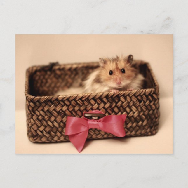 Postal Cute PetL0ve (Anverso)