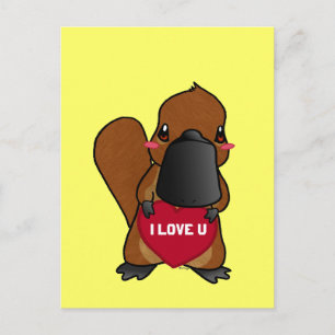 Postal Cute Platypus