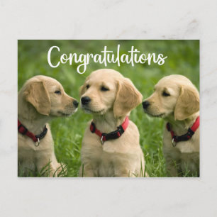 Postal Cute Puppy Dog Golden Retriever Felicitaciones