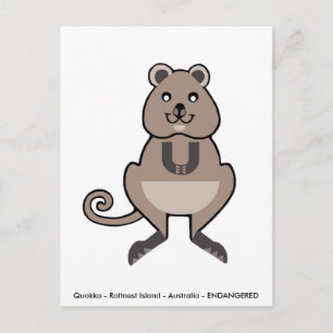 Postal Cute QUOKKA - Amante de los animales - Vida silves