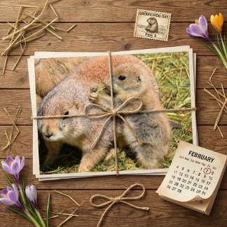 Postal Cute Realistic Groundhog Family Photo