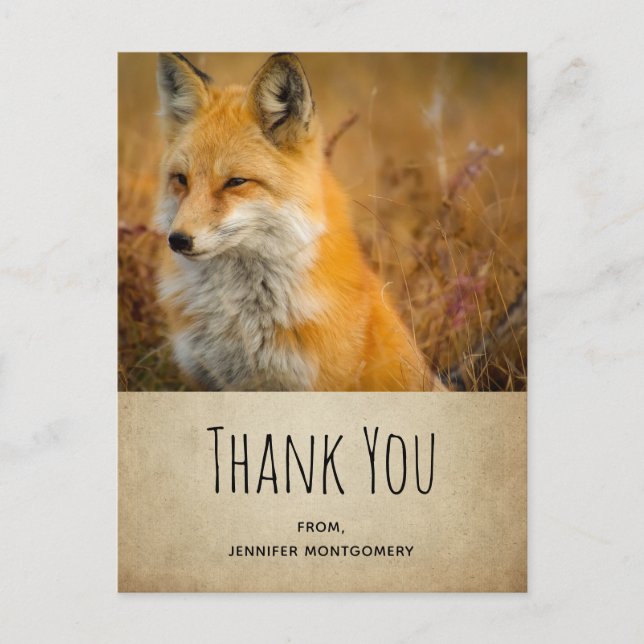 Postal Cute Red Fox Wilderness Nature Foto Gracias (Anverso)