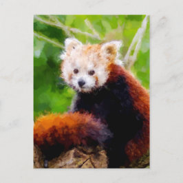 Postal Cute Red Panda Animal Hand Pintado
