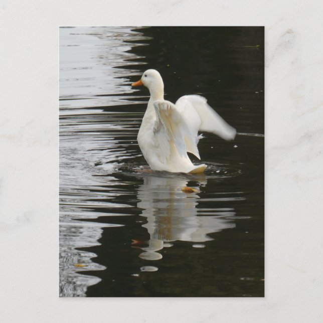 Postal Cute Rising Duck DIY (Anverso)