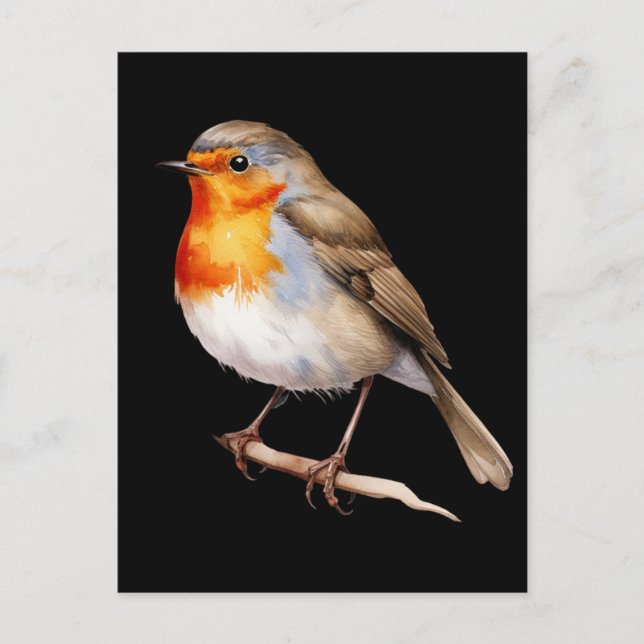 Postal Cute Robin (Anverso)
