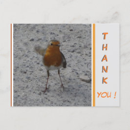 Postal Cute Robin GRACIAS Postcard