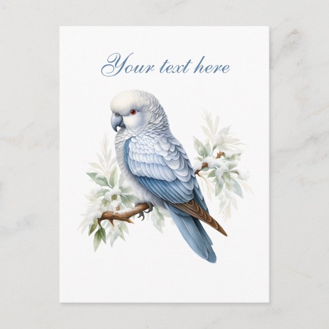 Postal Cute Seasonal Winbird agrega texto (Anverso)