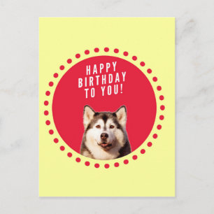 Postal Cute Siberian Husky Dog Feliz cumpleaños