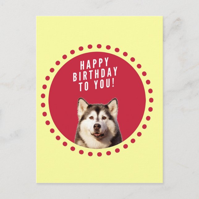 Postal Cute Siberian Husky Dog Feliz cumpleaños (Anverso)