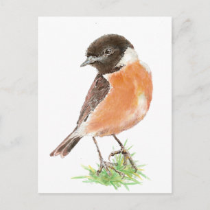 Postal Cute Stonechat, Watercolor Bird Collection