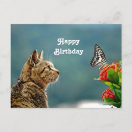 Postal Cute Tabby Cat Butterfly Photo Birday